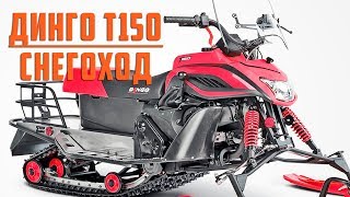 Снегоход Динго Т150, как это сделано. Модель 2018 года.