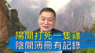 【黄警官讲故事】阳间打死一只鸡 阴间簿册有记录（黄柏霖警官）