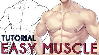 Easy Way To Color Muscles - Paint Tool SAI