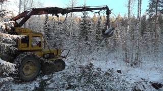 Vmv forest boxer at work 4/8