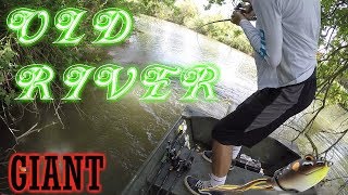 DELTA | OLD RIVER | BED FISHING