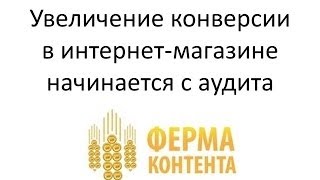 Аудит интернет-магазина электрошокеров. Увеличение конверсии начинается с аудита