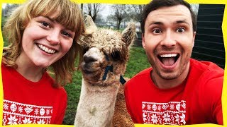 MIJN DROOM KOMT UIT! | Kerstwensen Vervullen