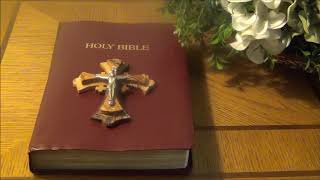 Sinhala Holy Bible Utpatti Potha 8
