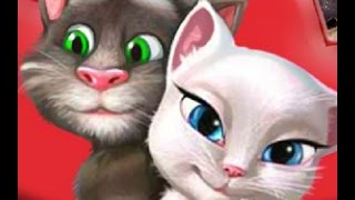 Кот Том и Анжела готовятся к рождению малыша