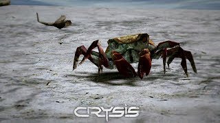 CRYSIS