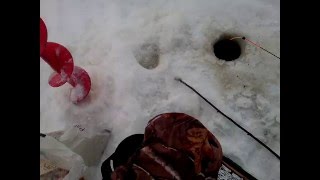 Электронная удочка Удача 2...результат..