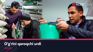 Akula - O'g'rini qaroqchi urdi | Акула - Угрини карокчи урди