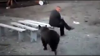 Russian man doesn’t give a damn about bear roaming nearby
