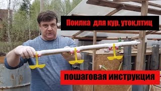 Поилка  для кур, уток, птиц пошаговая инструкция. дача
