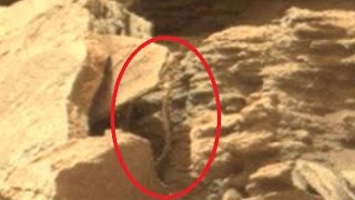 Mission to Mars: What we have found on Mars by far; How will human survive on Mars - Compilation