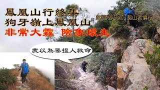 [二人行山 VLOG ] 山水禾田 鳳凰山行終集 第三集 狗牙嶺上鳳凰山 非常大霧 險象環生 高難度行山 沒經驗勿試