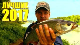 Эту приманку ЖЕРЕХ оценил!!! ЛУЧШИЕ приманки на ЖЕРЕХА сезона 2017!