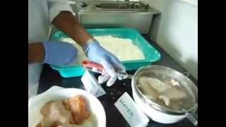 Breading application process