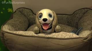 New Zoomer Playful Puppy Robot Dog from Spin Masters Toy Fair 2018
