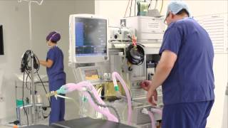 Роды в Лондоне: Portland Hostpital