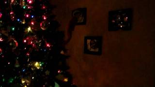 The Elf is ALIVE!!!