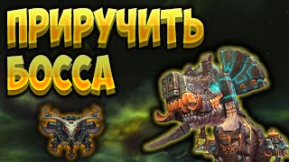 Как приручить мирового босса Ундасту  за охотника ?  [WoW BfA]
