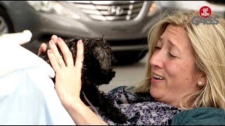 Woman Giving Birth To Dog