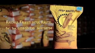 Spot publicitar - Fabrica de prelucrare a semintelor de porumb RAUTEL S.A.