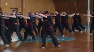 боевое искусство NHAT-NAM 2010_IV_семинар_Чехов