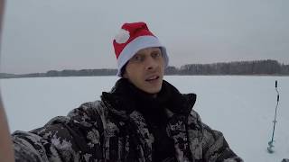 Встретил черепашку/Или что это?/1Подводная съемка рыбалки