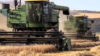 John Deere 6622 Combining
