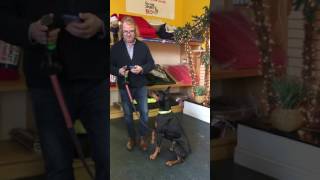 i'm Gismo Treat Container and Clicker Demo