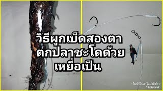 วิธีผูก​เบ็ด​สองตาตกปลาชะโดด้วยเหยื่อเป็น