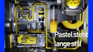 Mayhems Pastel nach einem Jahr