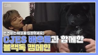 씨제스♥블랙독(Black dog)캠페인 비하인드