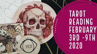 LEO (Feb 3-9) You Will Remember This Reading! A New Understanding!