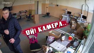 ОПЕРАТИВНЫЕ ЖЫВОТНЫЕ