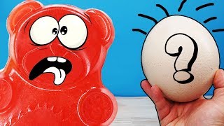 КАК ОТОБРАТЬ У СТРАУСА ЯЙЦО ДЛЯ ЖЕЛЕЙНОГО МЕДВЕДЯ ВАЛЕРЫ