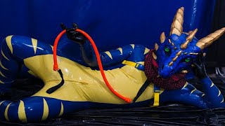 Top 8 unusual latex pet costumes