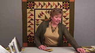 Migrating Geese made Fast and Fun with Deb Tucker