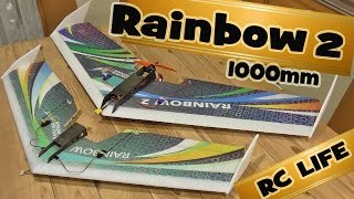 DW HOBBY Rainbow Ⅱ  1000mm. Обзор и сборка модели