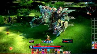 Tera online: Lv47 berserker solo bam