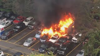 Are Food Trucks Dangerous?