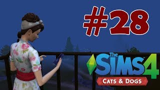 Deniz Fenerine Çıkmak | The Sims 4 Cats & Dogs #28