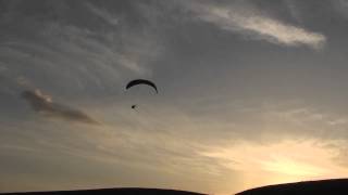 Fox Gt Opale Paramodels