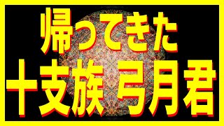 【 衝撃 】帰ってきた十支族「 弓月君 」（ユダヤ人と日本人は同じ遺伝子だった！？）