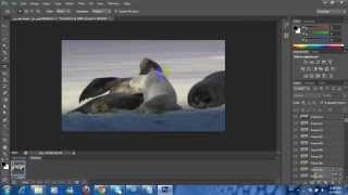 تصميم صورة متحركة [GIF] على الفوتوشوب CS6
