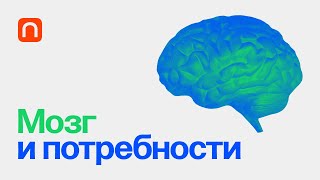 Мозг и потребности — курс Вячеслава Дубынина 