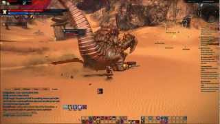 TERA Warrior BAM solo - Storm Lizard