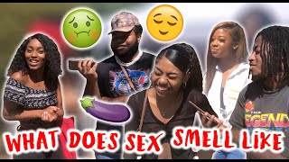 WHAT DOES SEX SMELL LIKE ??? PUBLIC INTERVIEW