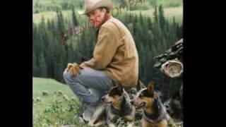 Ganadero Australiano (Australian Cattle Dog)