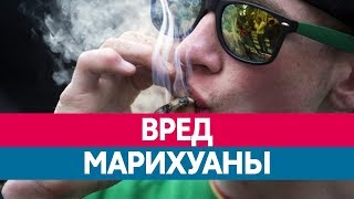 Чем опасно КУРЕНИЕ МАРИХУАНЫ? Вред конопли и каннабиса! Наркотики и марихуана