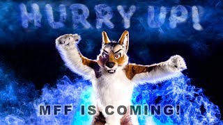 Packing for MFF 2017