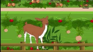Kids Stories - Indian Folk Tales - Presence of Mind Pays